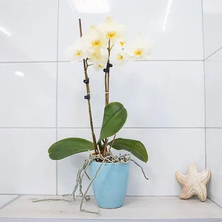 アパート Mari&bor-no Stairs, Easy Access