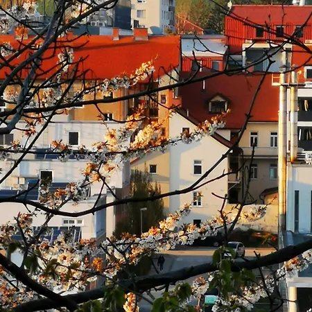 Apartment Mari&bor-no Stairs, Easy Access, Garage Optional Maribor