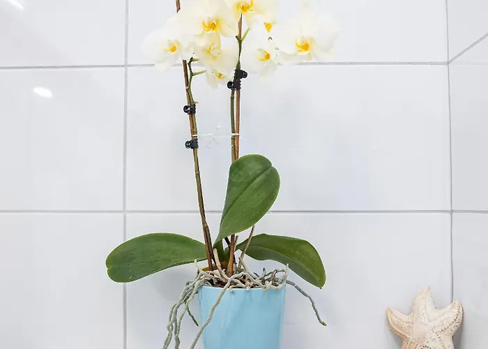 Apartma Mari&bor-no Stairs, Easy Access, Garage Optional